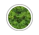 Peridot